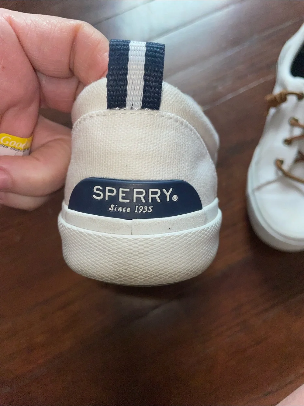 Sperry classic low